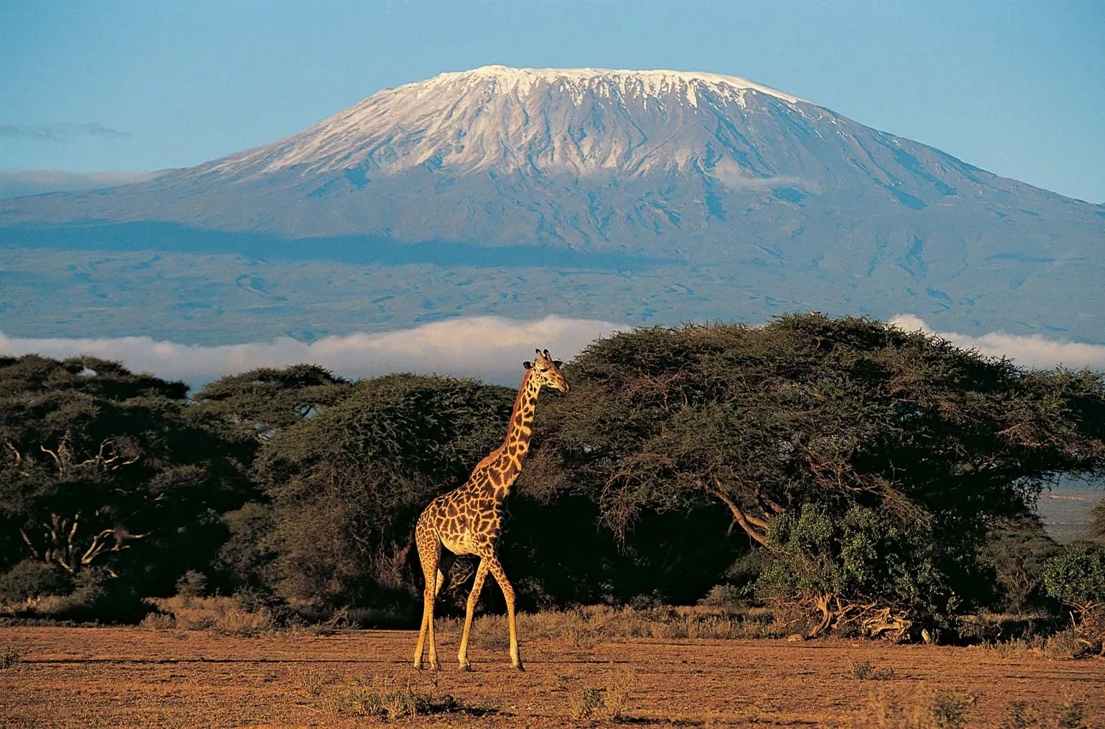 Tanzanija
